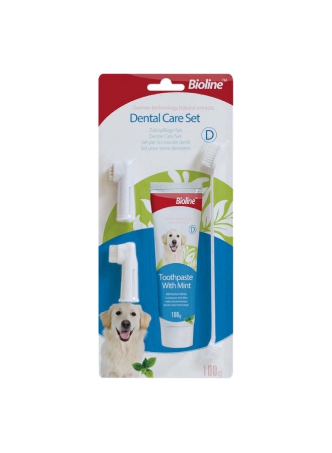 Dental Care Set – Mint Flavor, 100g (New Package)